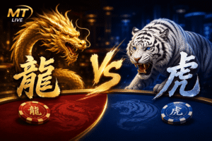 龙虎棋牌